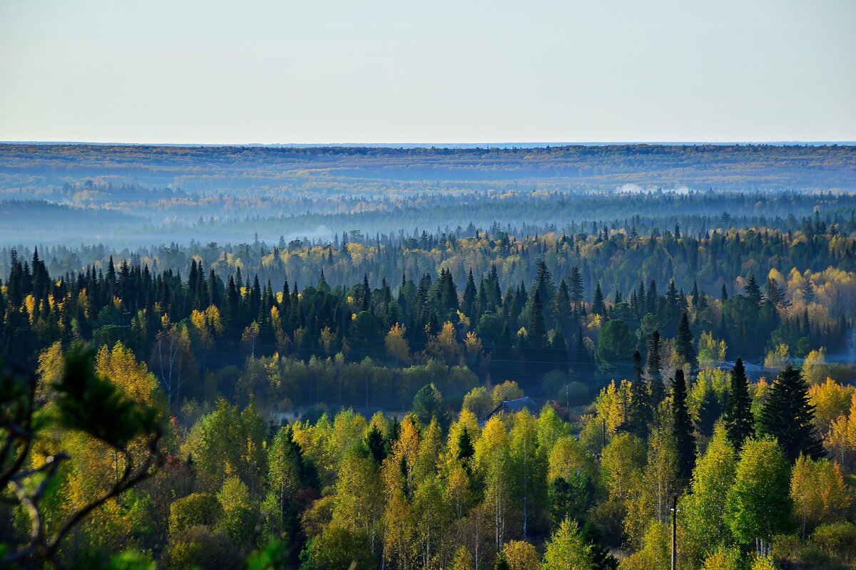 - - Владимир Мигонькин - - Владимир Мигонькин