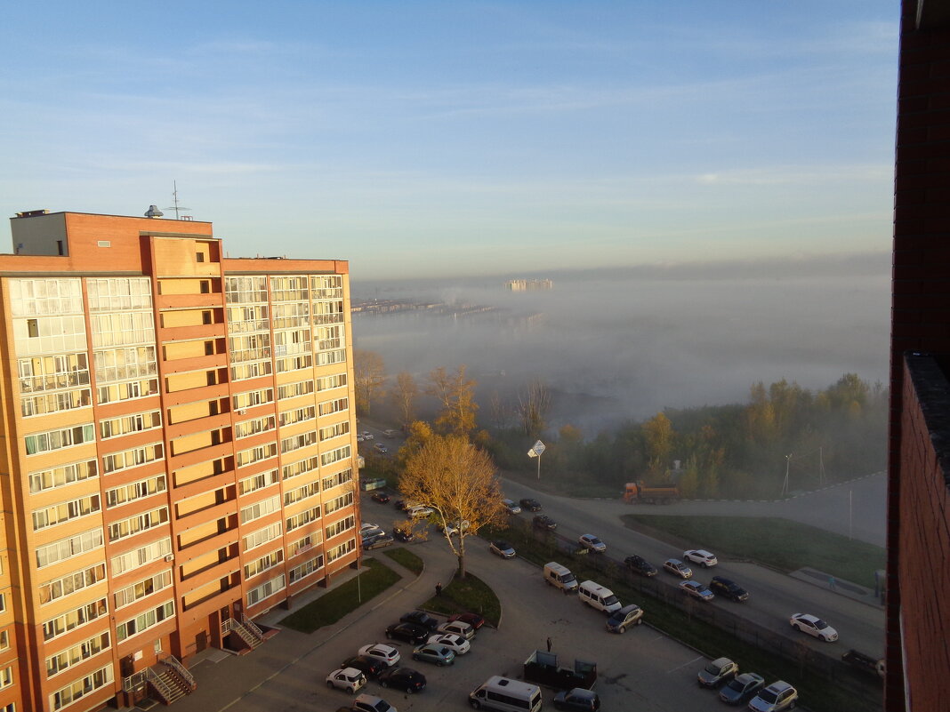 Тополь в тумане - Андрей Макурин