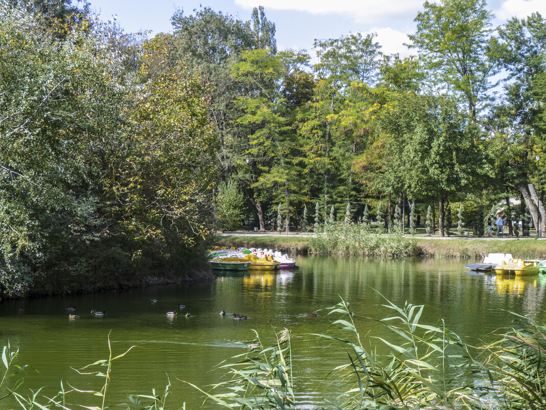 Осень в  Гагаринском  парке - Валентин Семчишин
