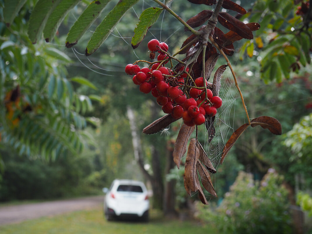 Осень - Александра [-/ Осень - Александра [-/