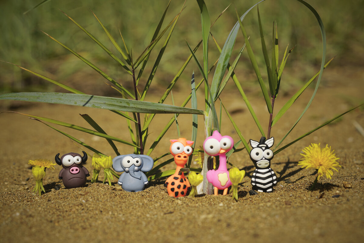 Акуна Матата - Эдуард Куклин