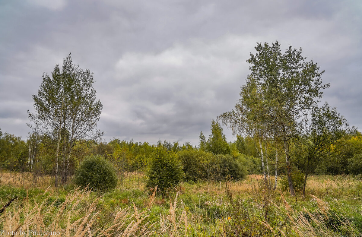 В поле... - Владимир Жданов