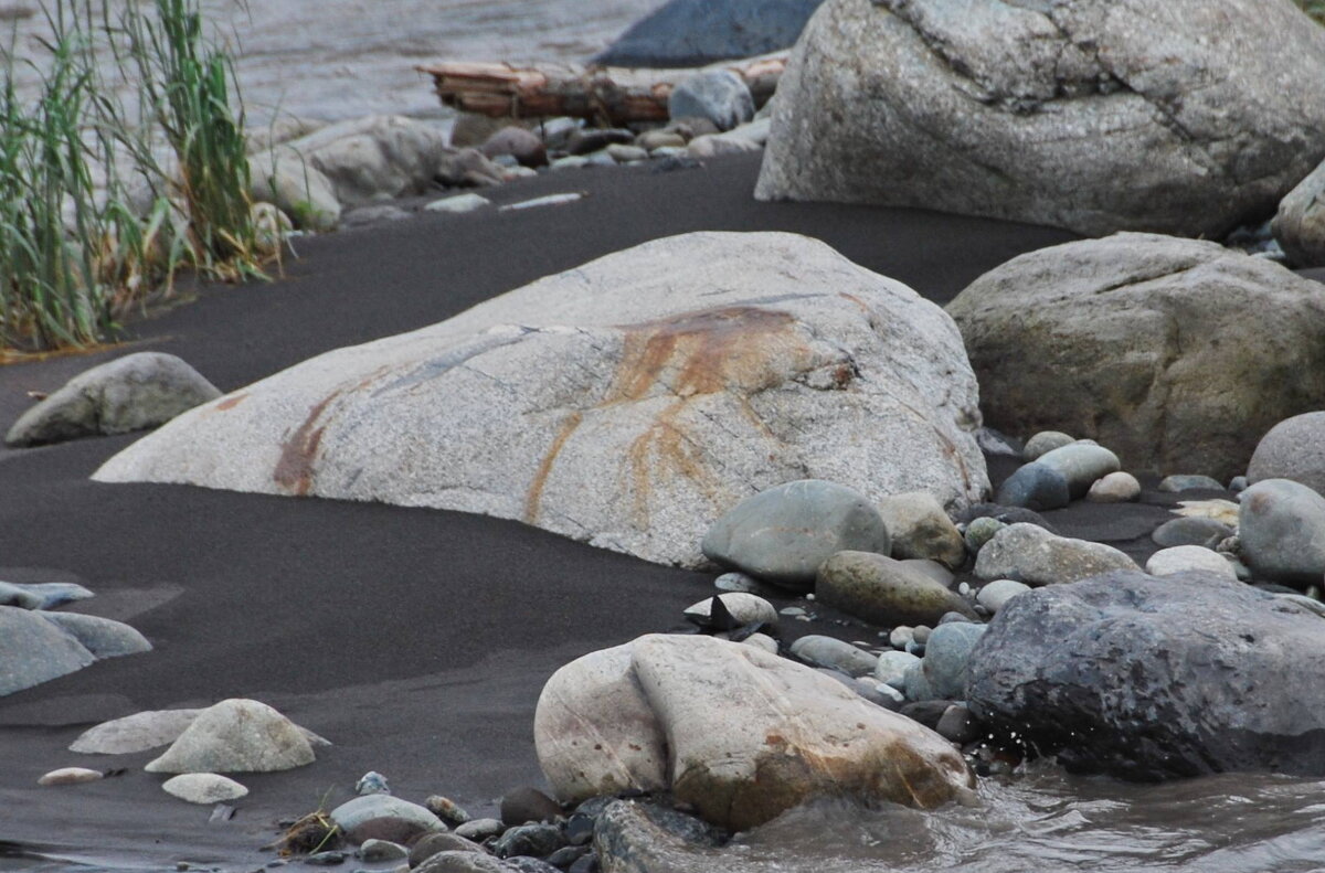 Её не выбросило. Она сама. Хандрит рыбёха. Осень пришла. - Юрий Вовк