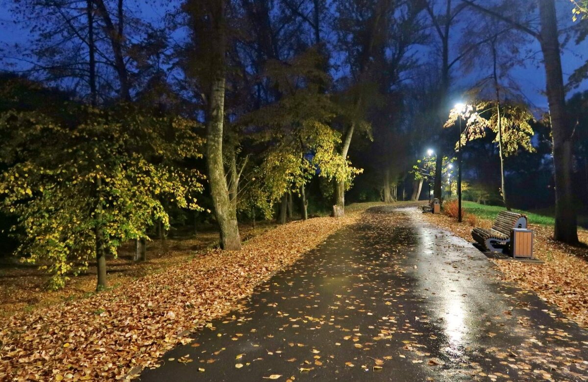 вечер - Нельсон 