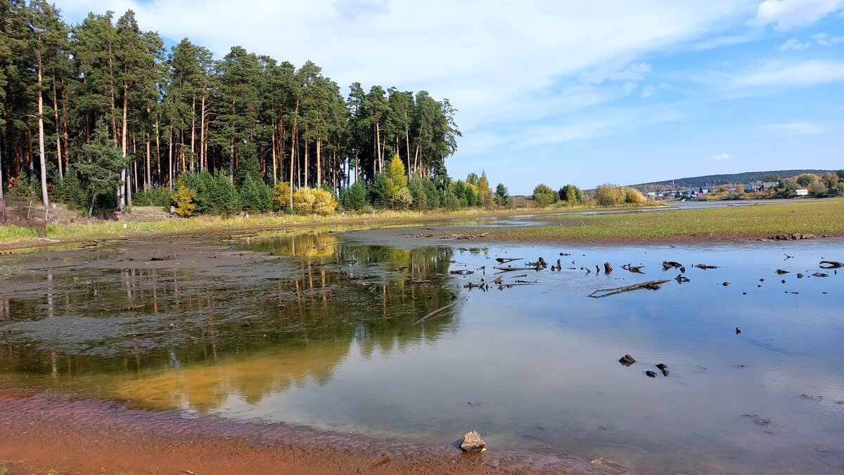 Возле села Курганово Свердловской области - Максим Егоров