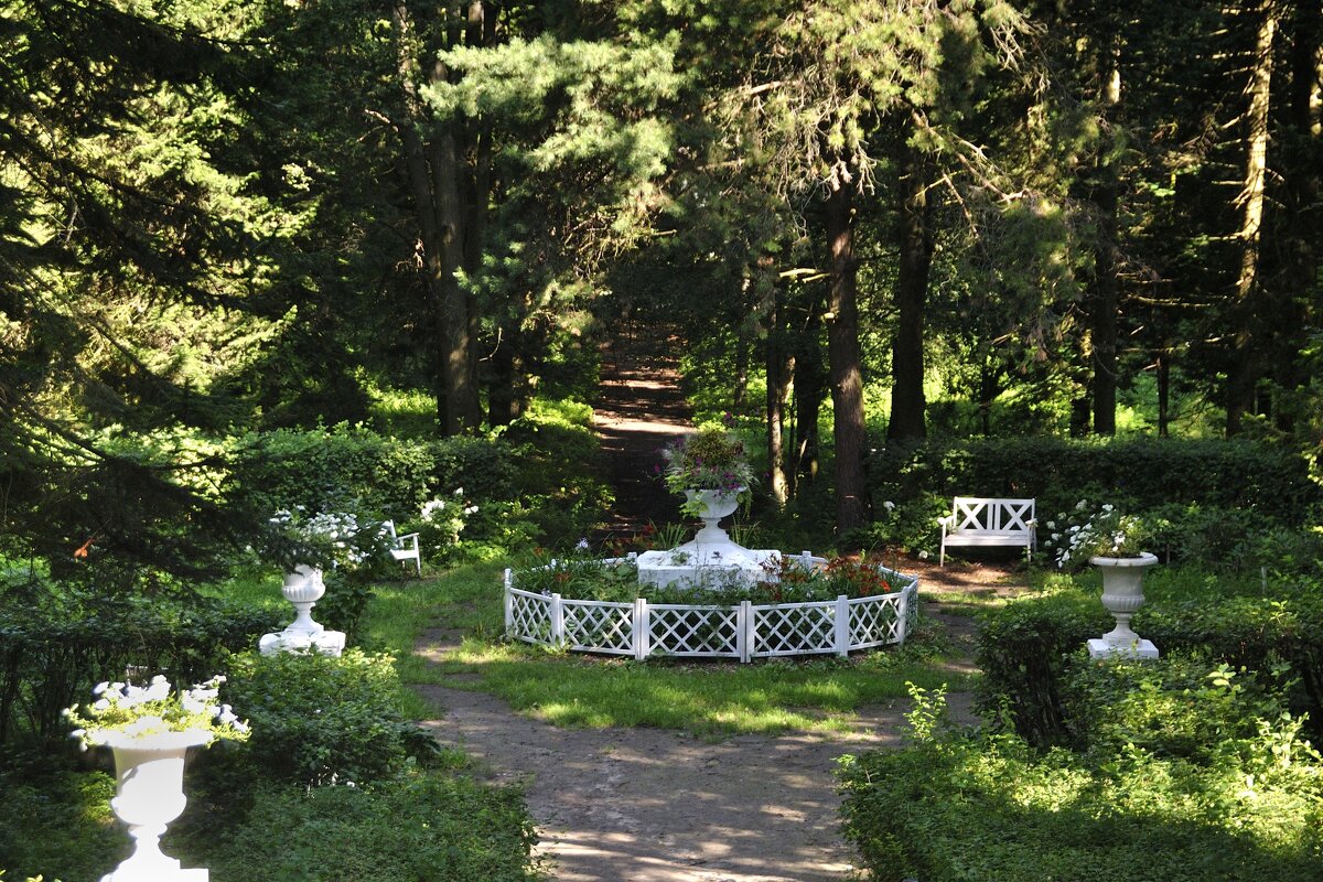 Заброшенный сад в имении Быково - Марина Виноградова