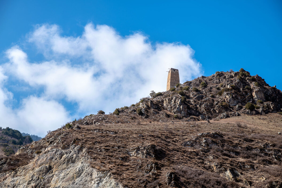 Башни Дигории.Сонгутидонское ущелье, Северная Осетия Алания. - Дина Евсеева