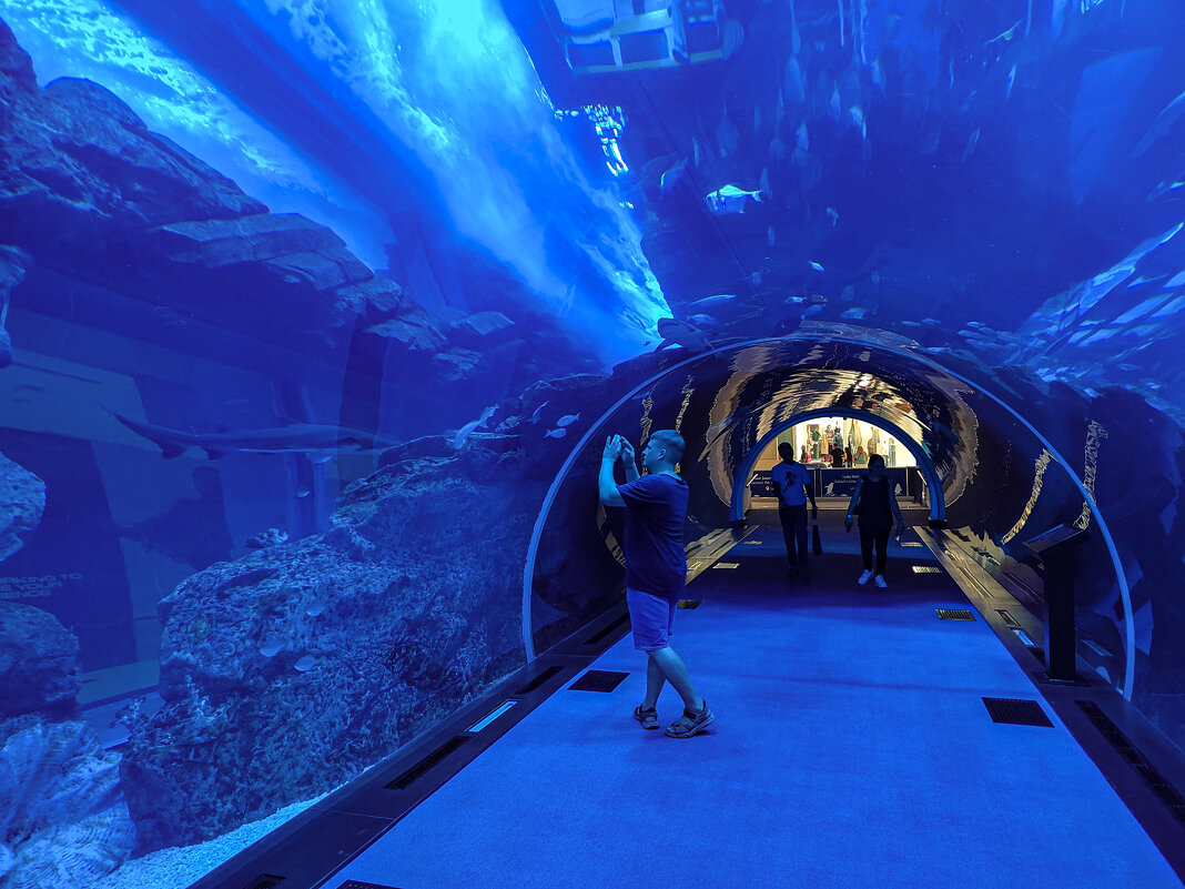 Где-то в Дубае. - Boris Zhukovskiy