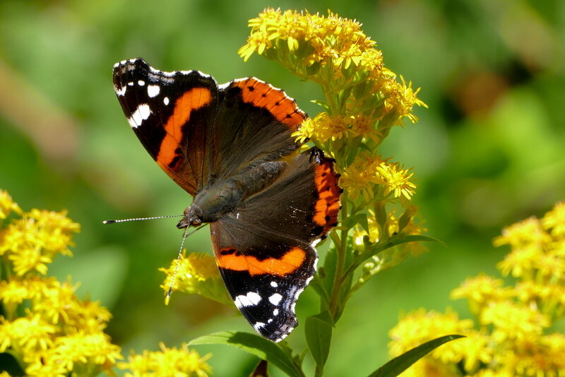 Из сегодняшней съёмки 4 - Александр Прокудин Из сегодняшней съёмки 4 - Александр Прокудин