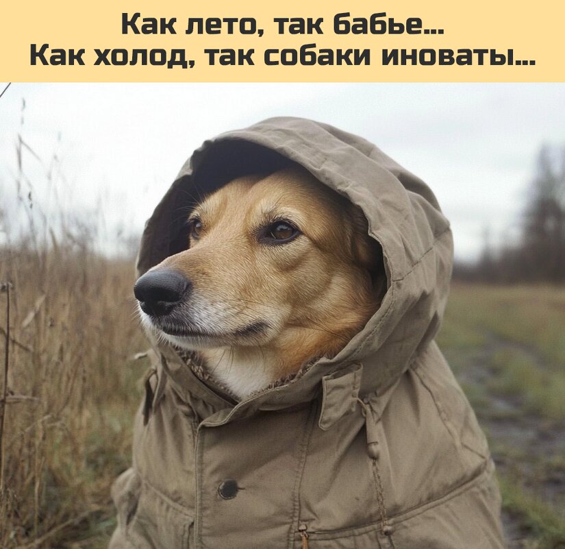 Вот так-от... :) - Валерий Кокорев