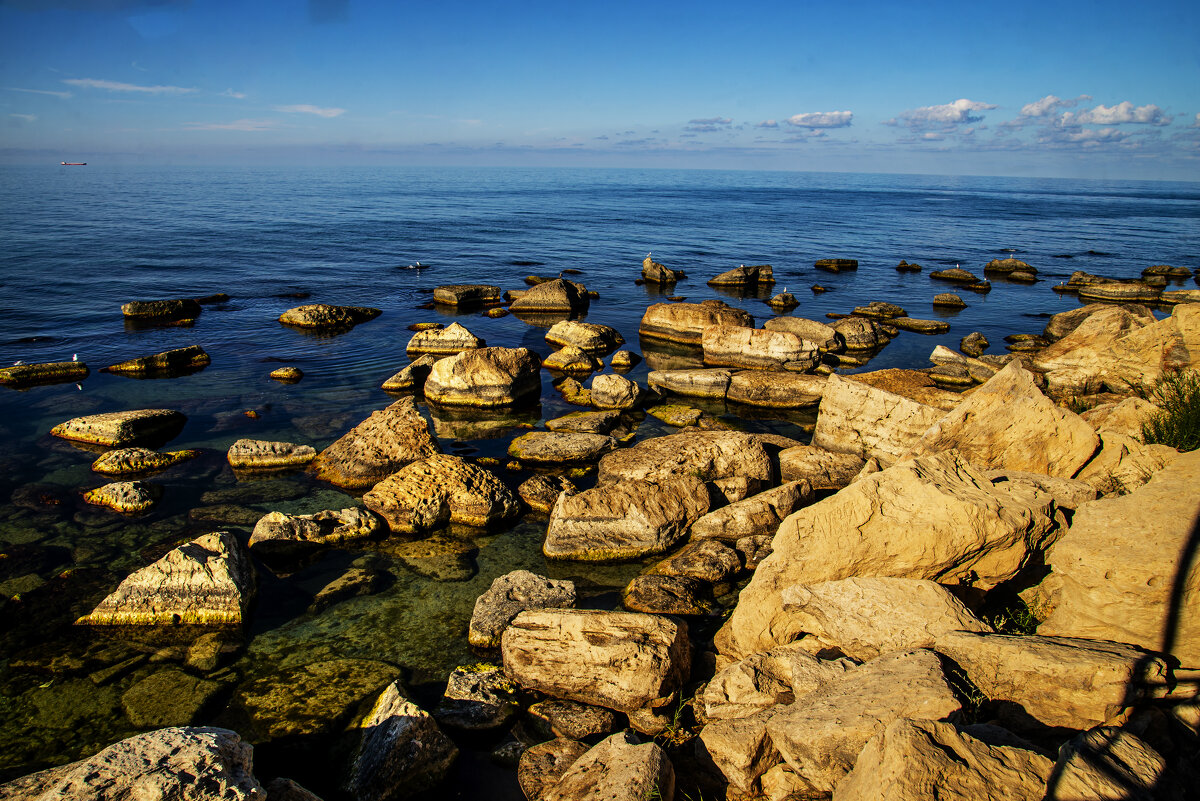 Берег - Анатолий Чикчирный Берег - Анатолий Чикчирный
