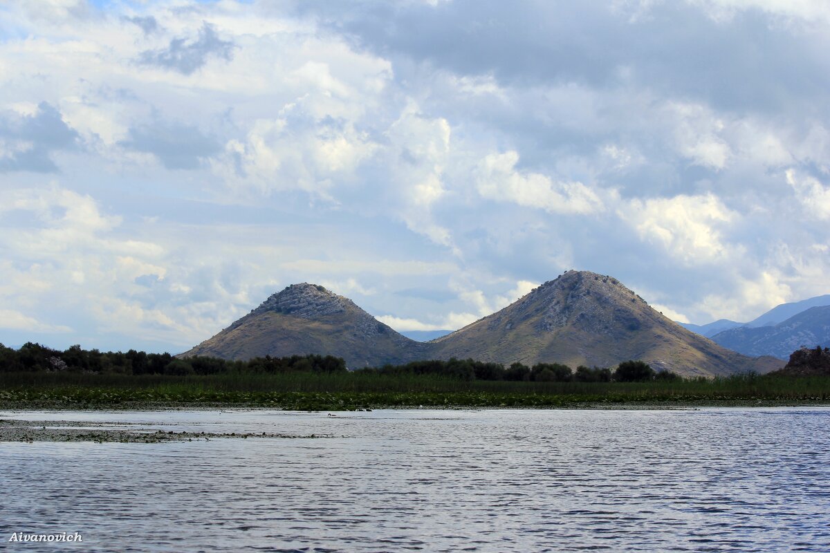 Грудь Софи Лорен. Скадарское озеро. - Андрей Андреев Андреев