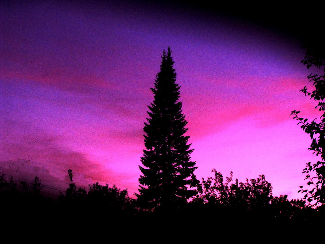 Красивый вечер - Людмила Смородинская