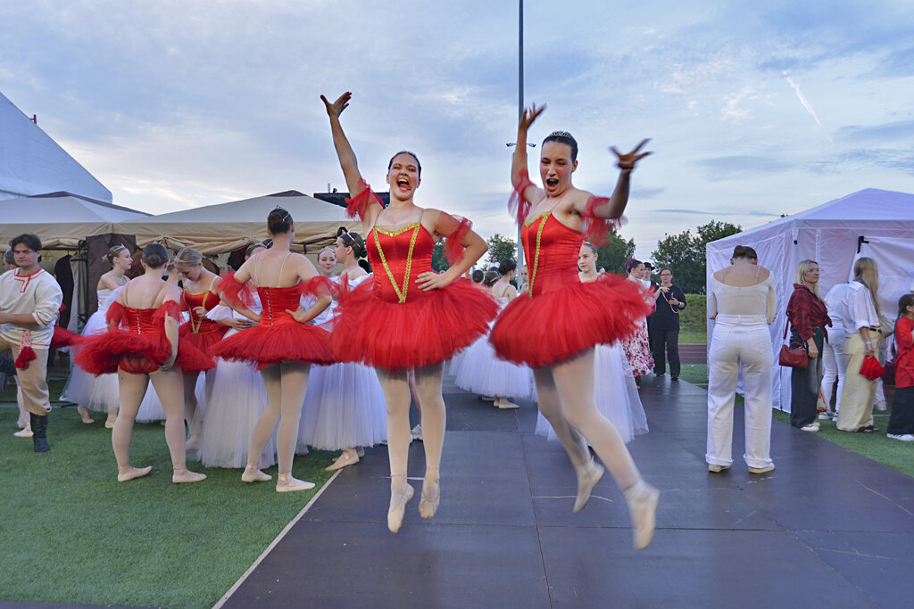 Красненькие лебеди... )) - Владимир Хиль Красненькие лебеди... )) - Владимир Хиль