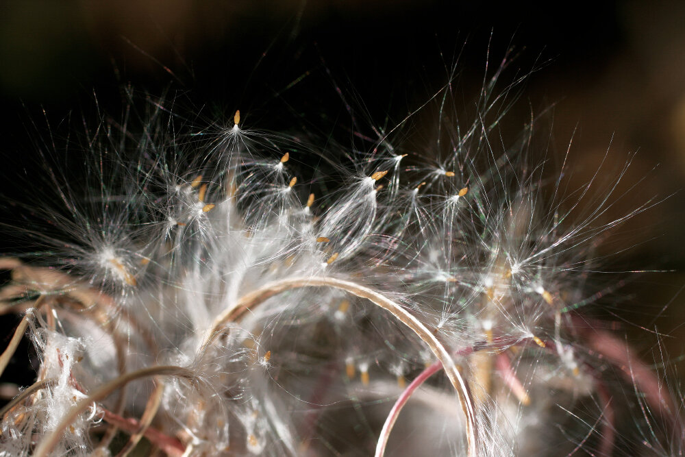 К полёту готовы... - Галина Ильясова К полёту готовы... - Галина Ильясова