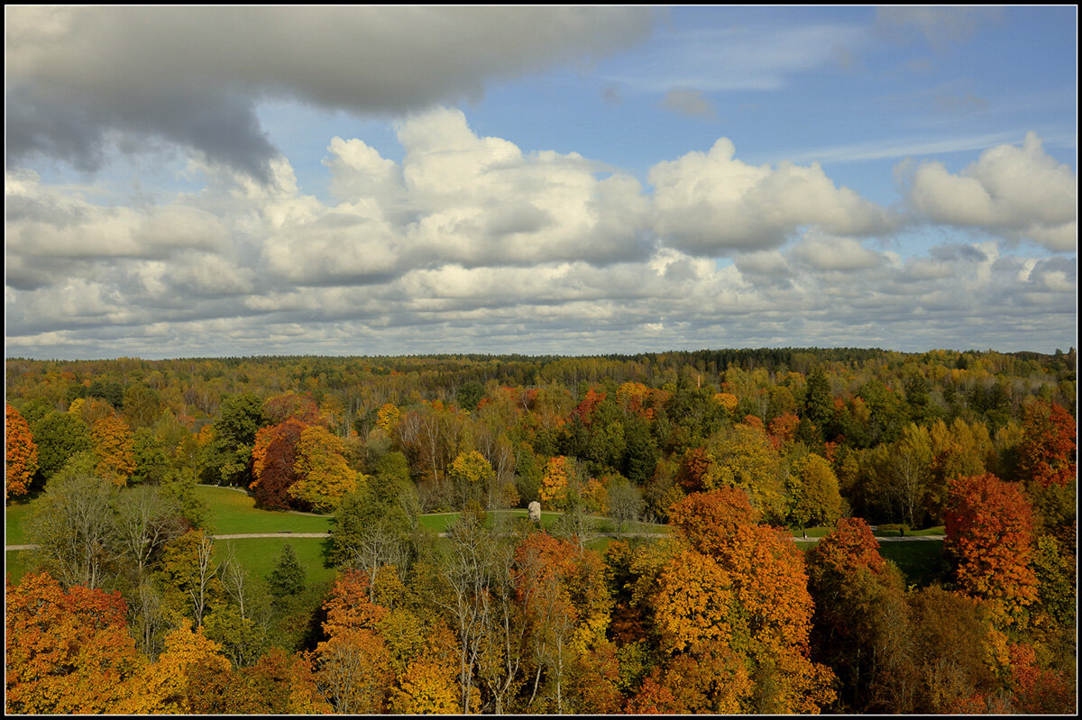 Осенняя дорога - Aleksandr Gal