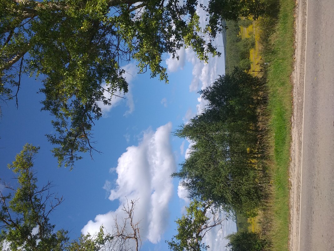 дорожные картины... - Галина Флора дорожные картины... - Галина Флора