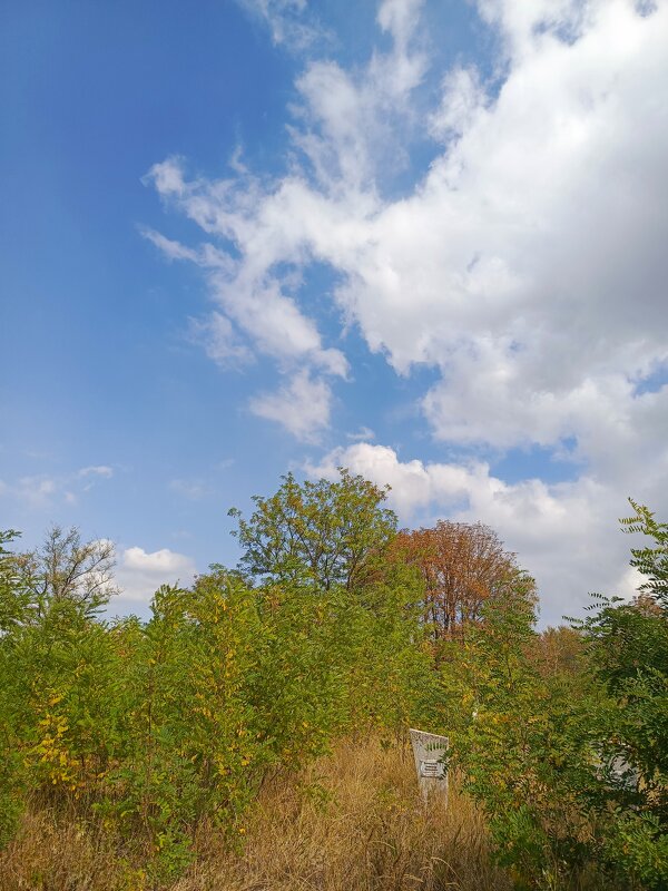 Осень - Татьяна Пальчикова