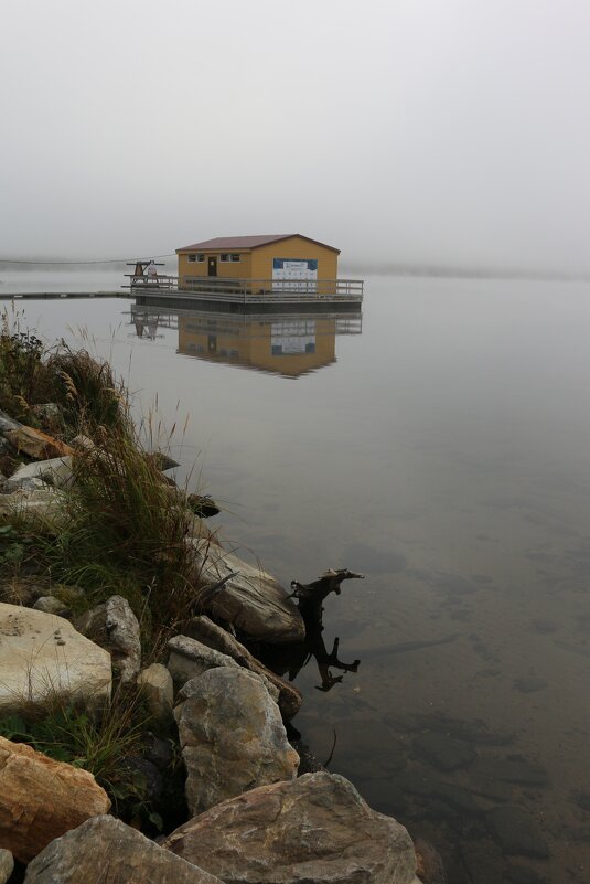 Утро туманное... - Ольга 