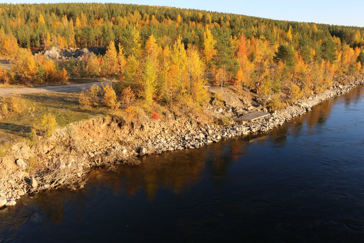 Осень у реки - Ольга 