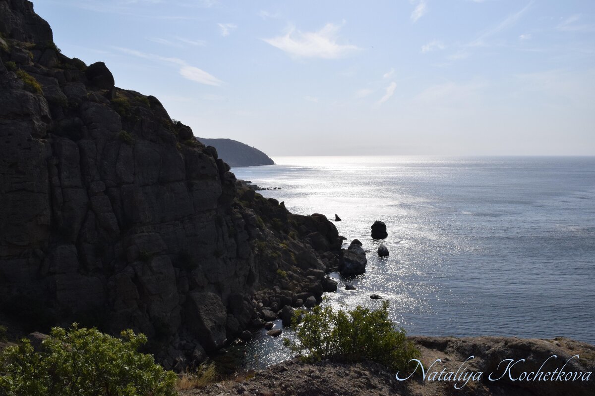 Природа Крыма - Amazing Cosmea