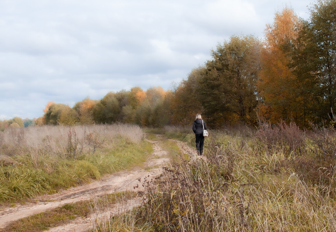 прогулка - Владимир Зеленцов