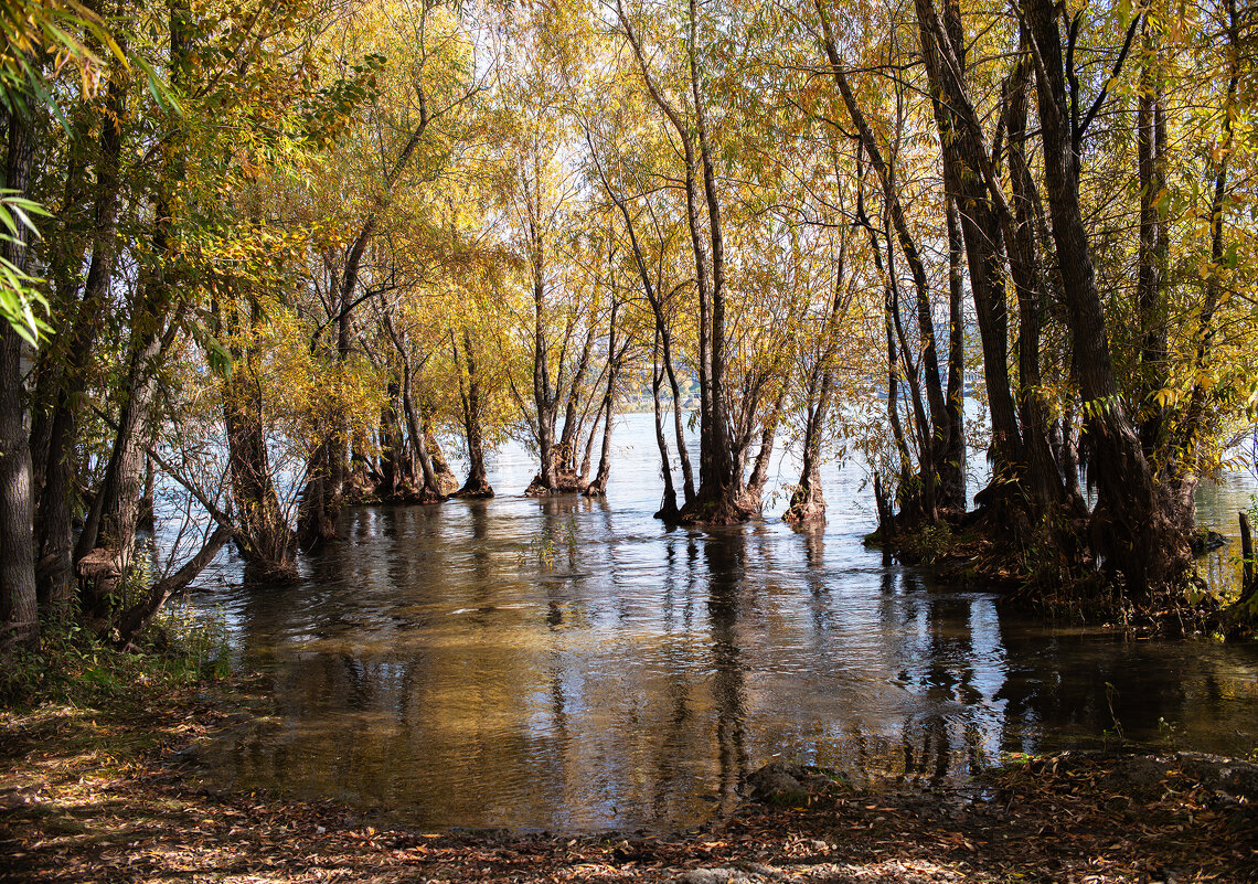 Осень - Михаил Измайлов