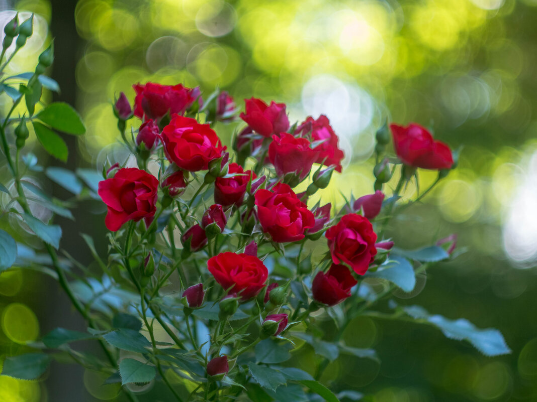 ___ - Yuriy V ___ - Yuriy V