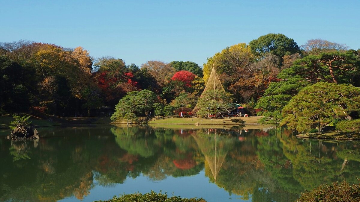 Японский сад Токио - Civetta ***