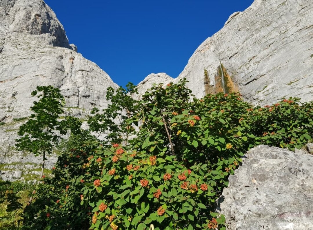 ЗАПАДНЫЙ КАВКАЗ. Пшехский водопад - Tata Wolf