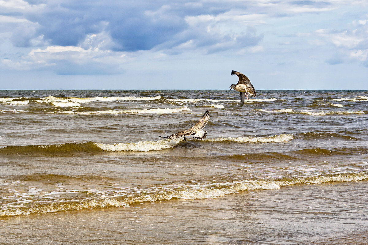 Разборки - Регина 