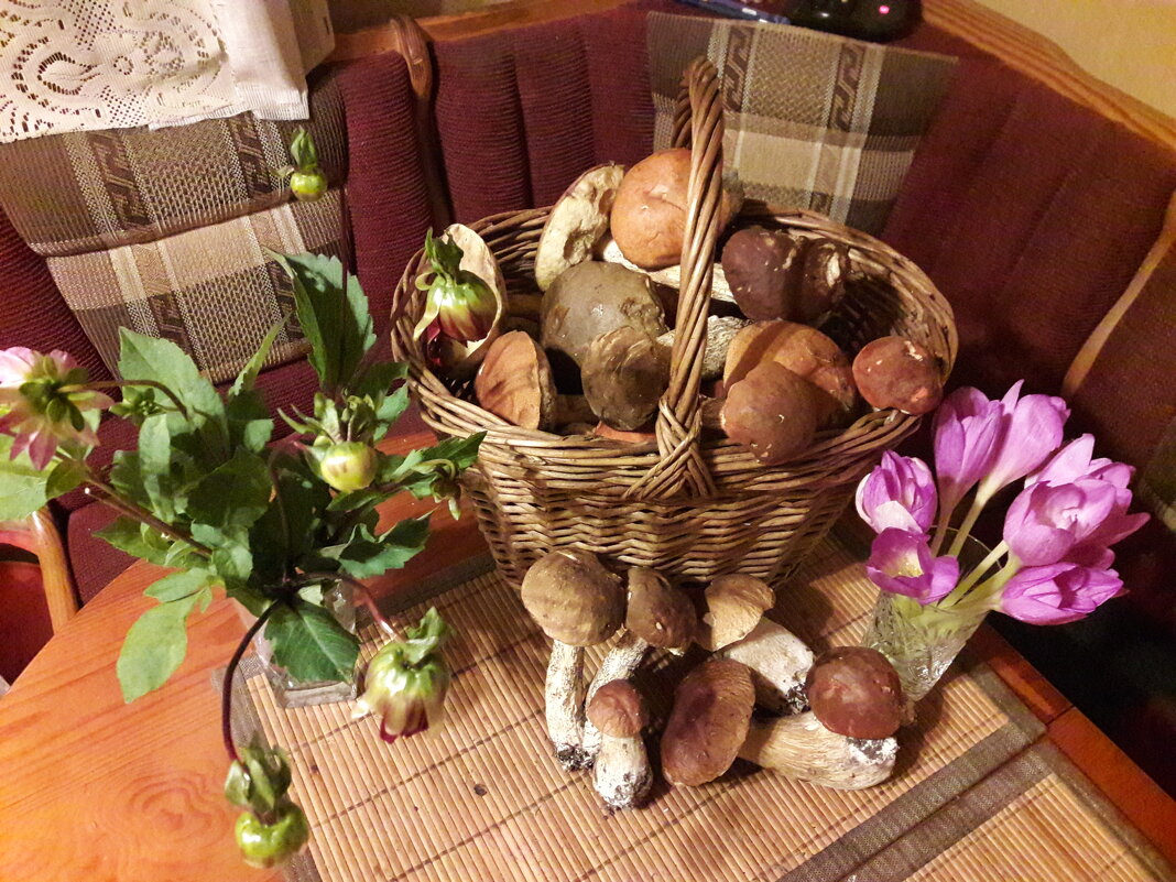 /// - Виктор Никитенко /// - Виктор Никитенко