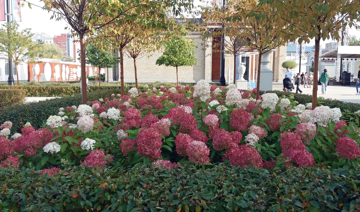 Осенние зарисовки - Galina Solovova