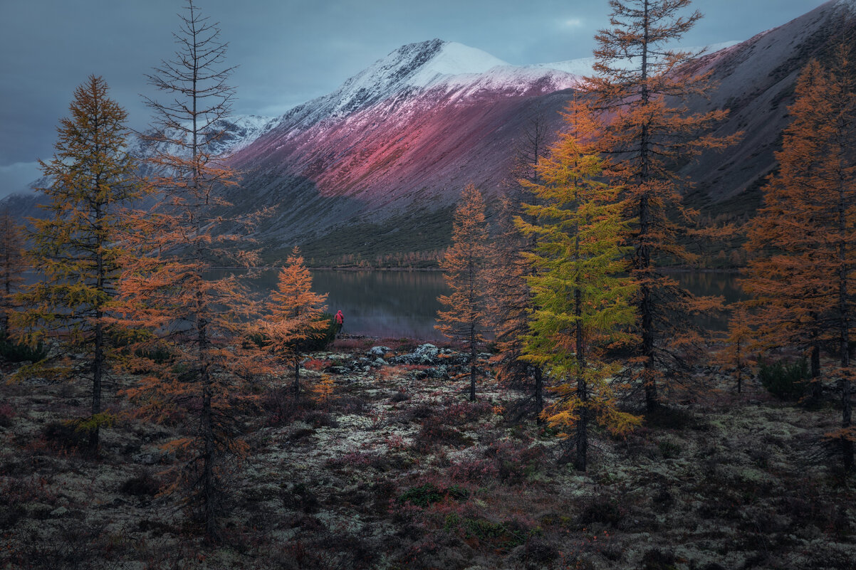 Ранним утром на озере - Дмитрий Шишкин