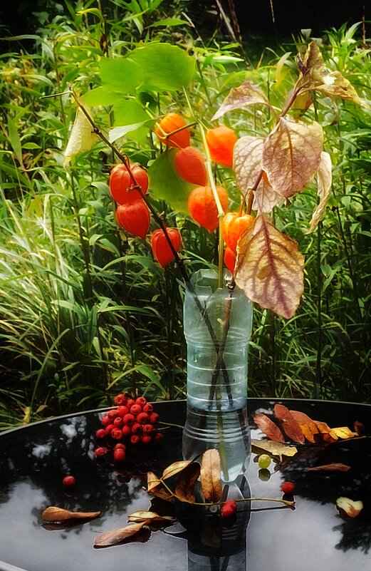 Сегодня день сравнялся с ночью и это интересно очень! - veilins veilins Сегодня день сравнялся с ночью и это интересно очень! - veilins veilins