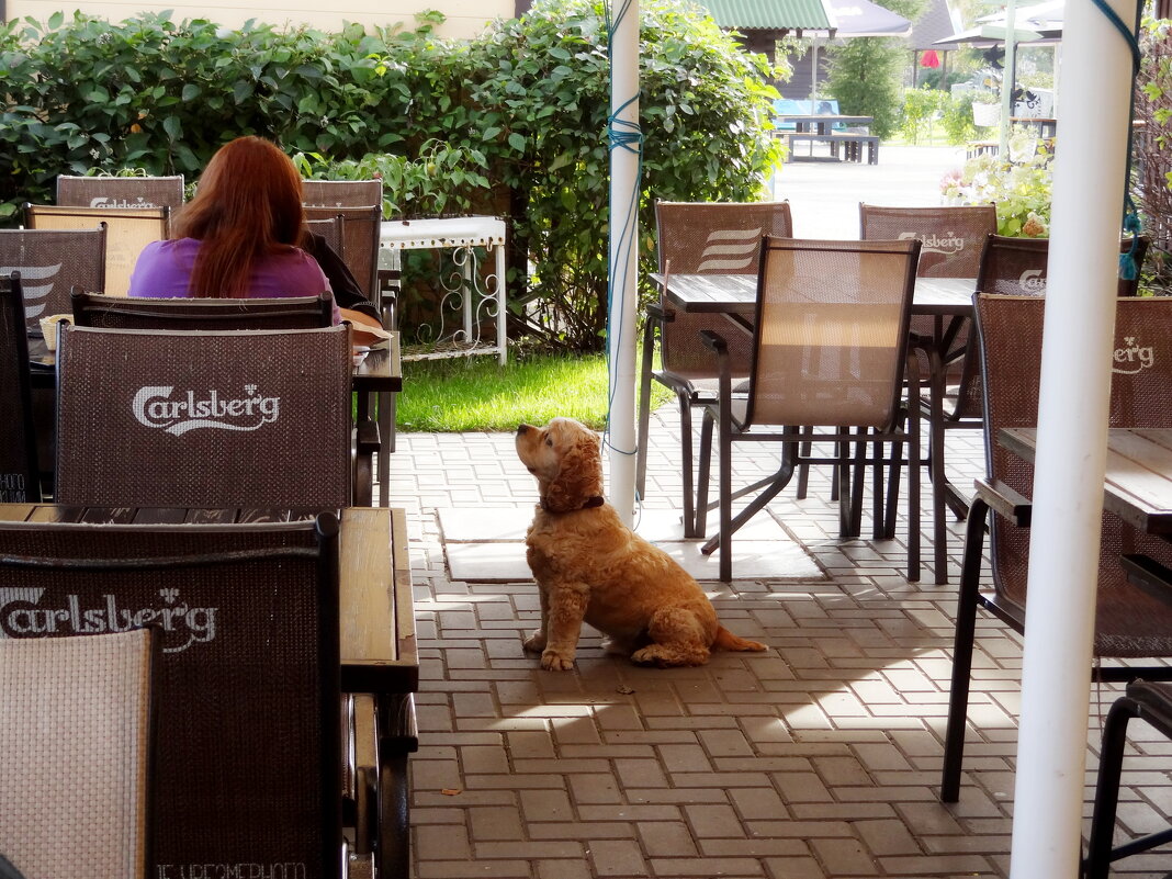 Дайте что-нибудь покушать - и кормите хорошо! - Maria Rainer