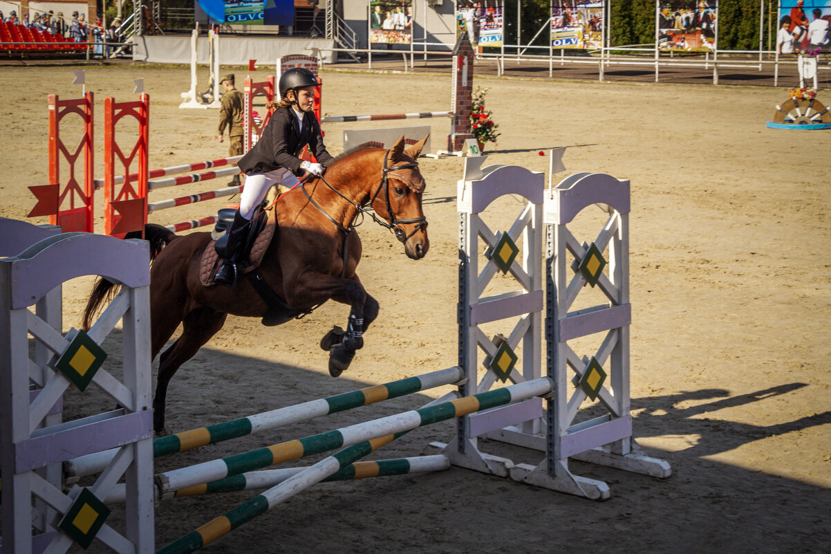 Это конкур - Sergey 