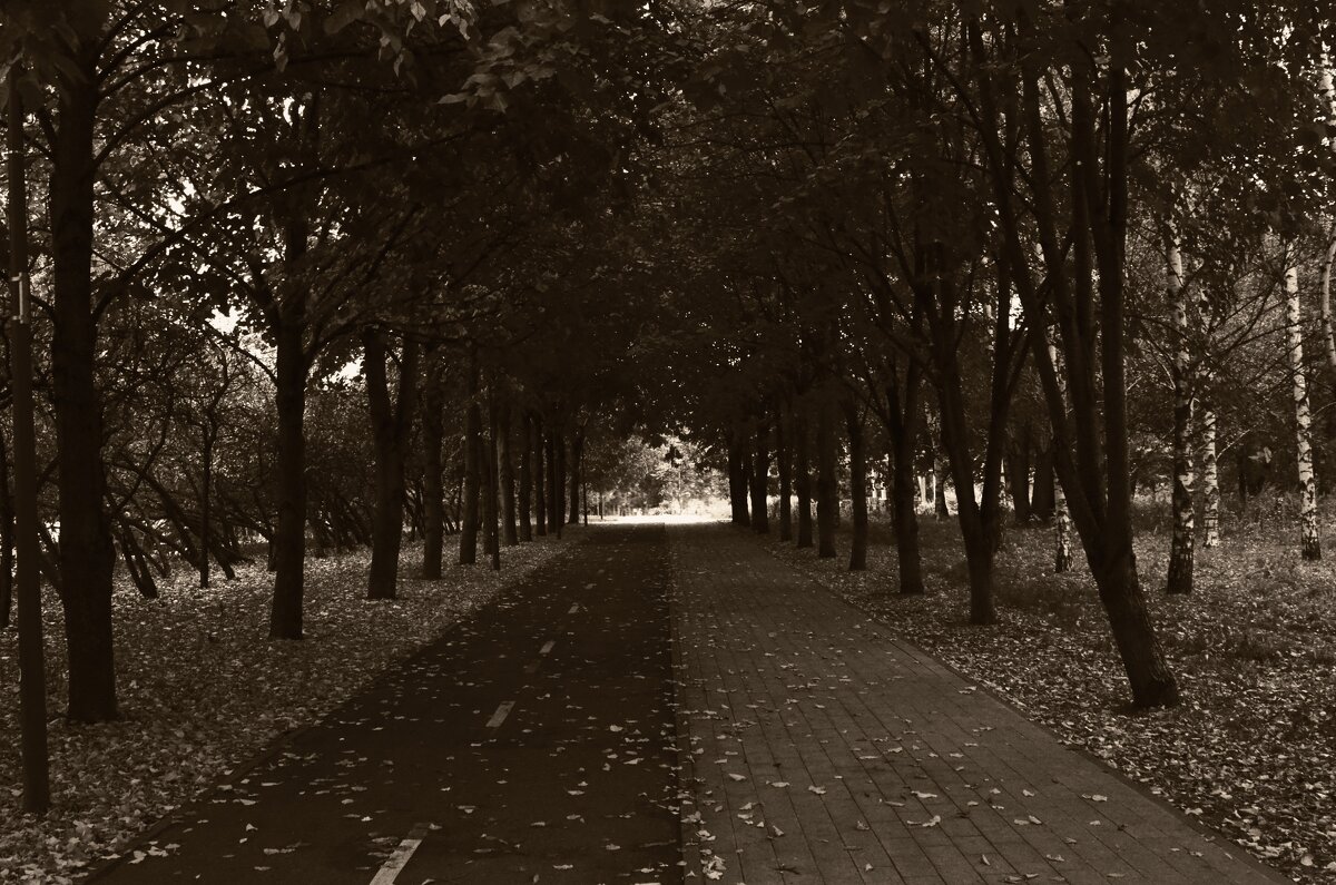 Мир без людей . - Наталья Вязигина