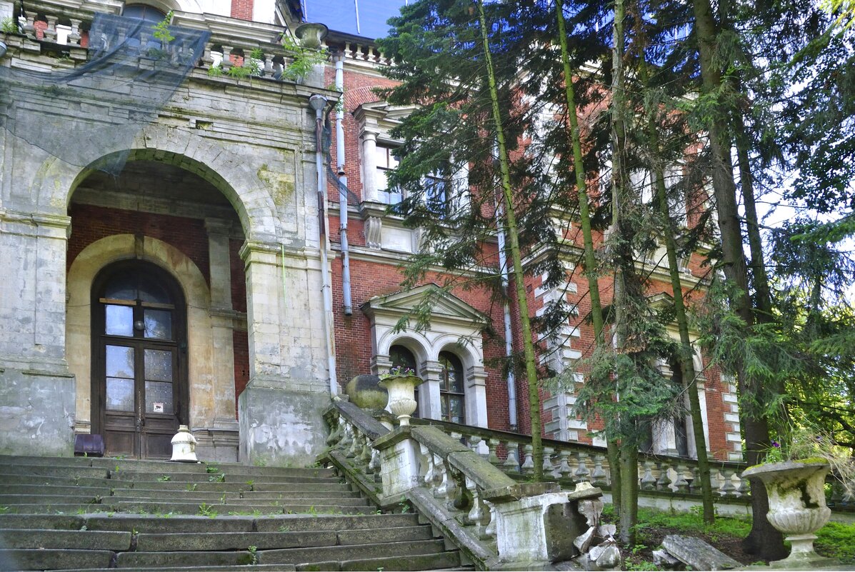 Разруха не стоит на месте - Марина Виноградова