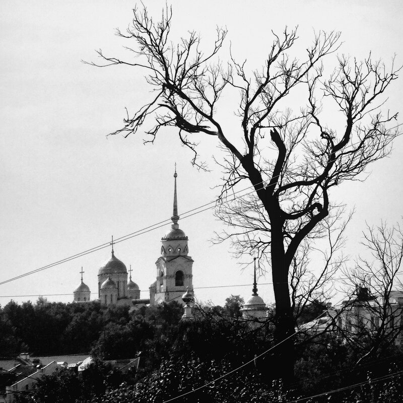 Деревья умирают стоя... - Владимир Шошин