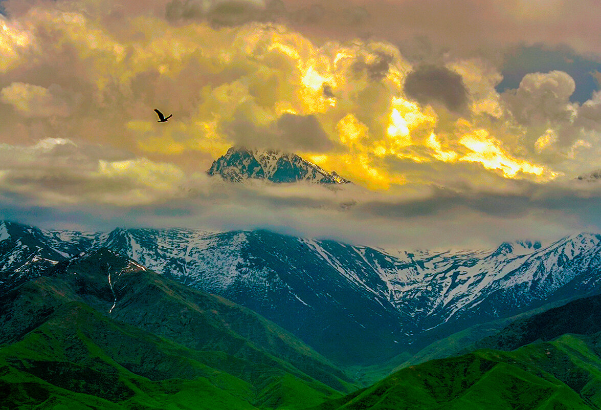 «Полет над вершинами» - Алтынбек Картабай 