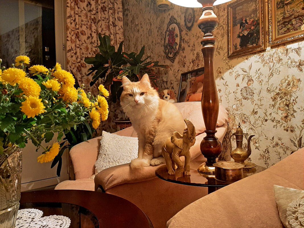 . - РИТА ЛЕВКОВА