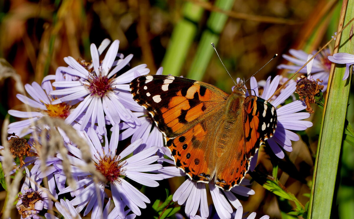 Из сегодняшней съёмки 9 - Александр Прокудин Из сегодняшней съёмки 9 - Александр Прокудин