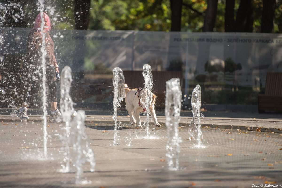 Осенний парк. Белгород - Михаил 