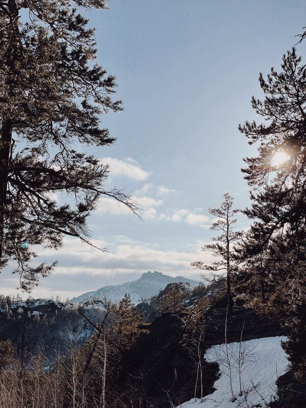 Зимний день - Георгиевич 