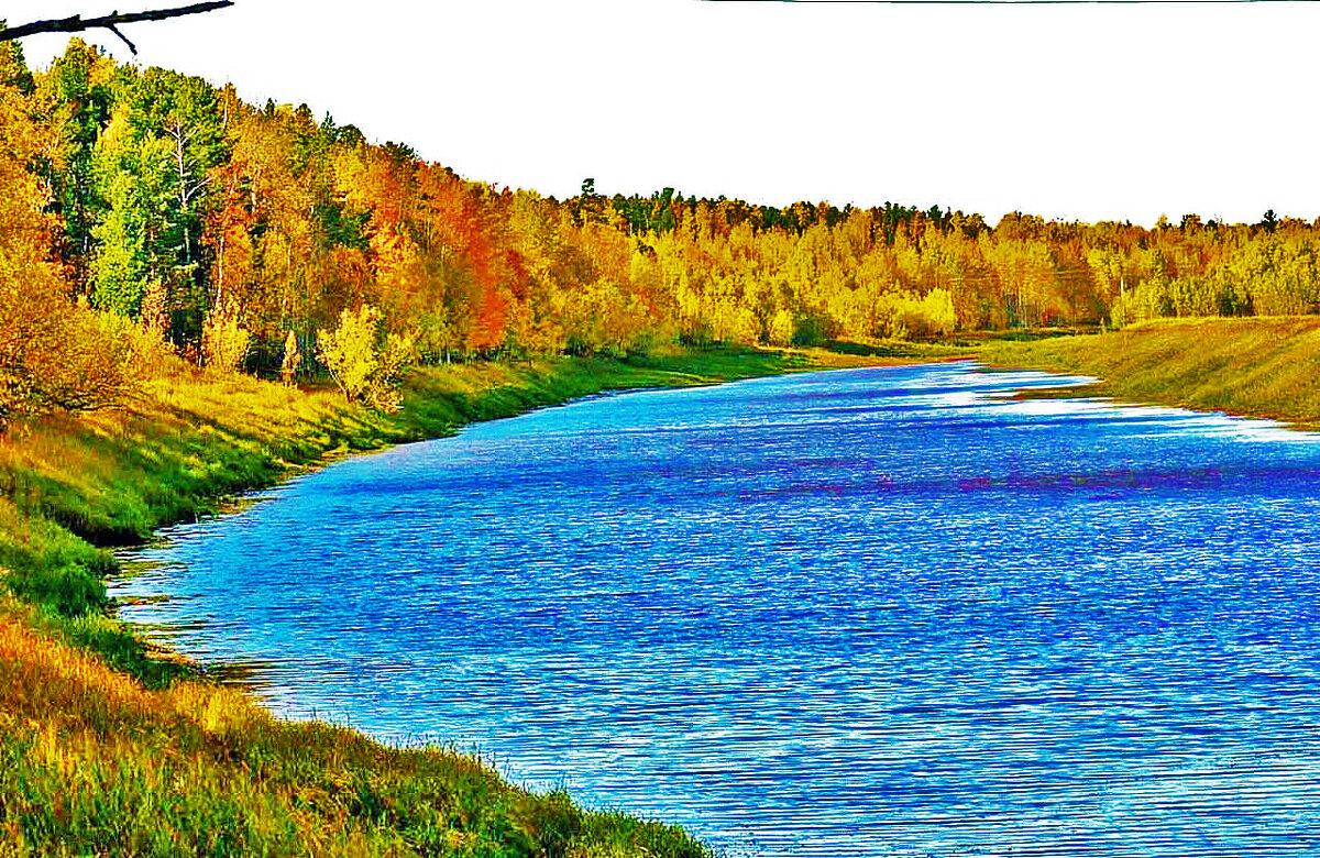 Золотая осень на протоке Девкина! - Владимир 