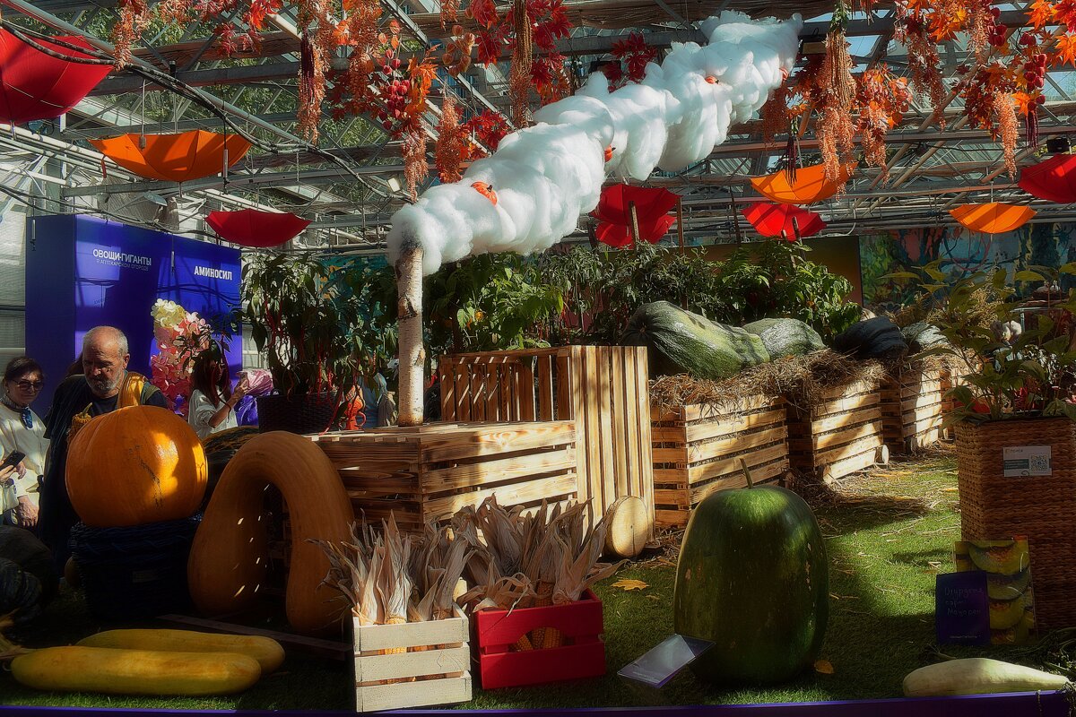 "Овощи гиганты" -выставка в Аптекарском огороде. - Татьяна Помогалова "Овощи гиганты" -выставка в Аптекарском огороде. - Татьяна Помогалова