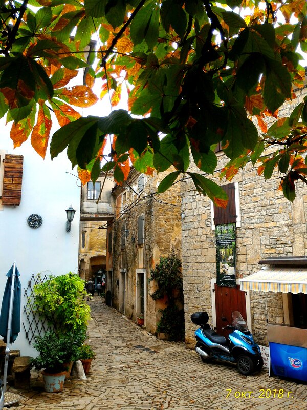 Хорватия - Натали 