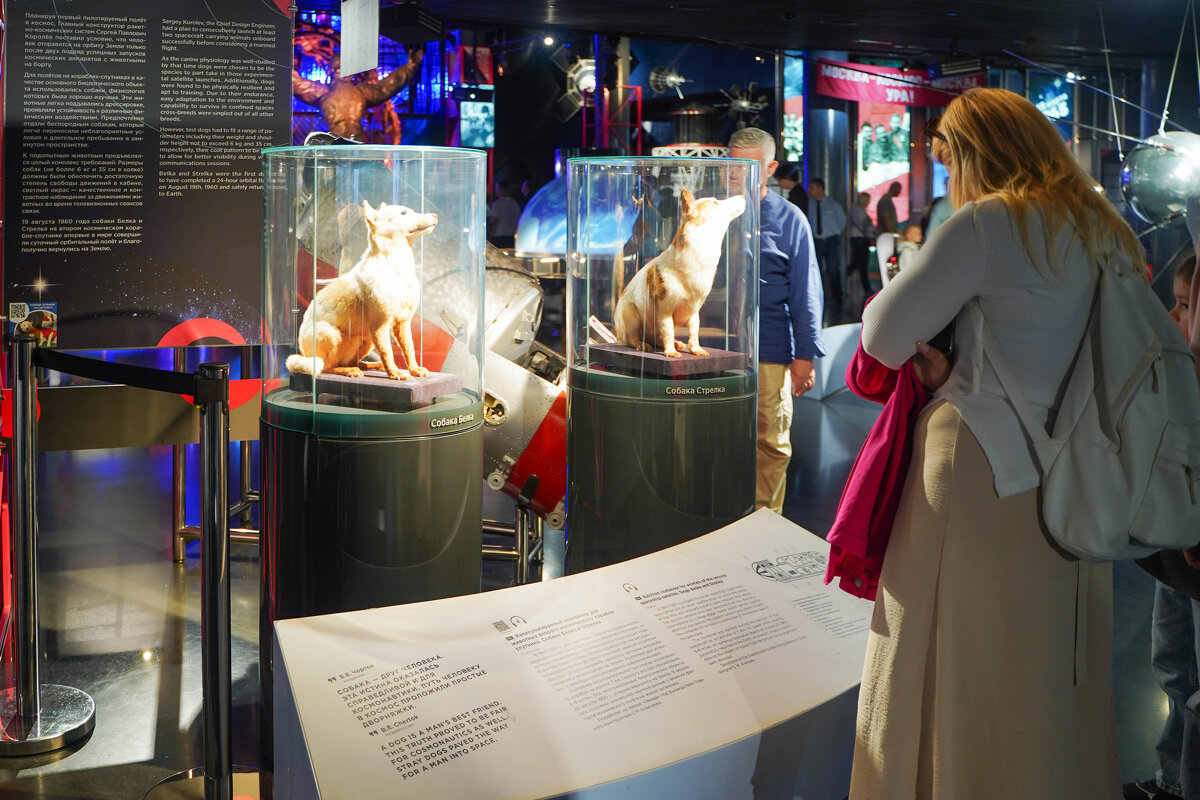 МУЗЕЙ_КОСМОНАВТИКИ_14_08_25 (133) - Сергей Янович Микк