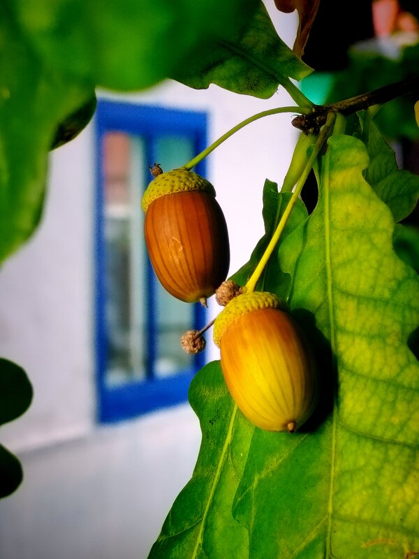 осень приближается - Евгений Фролов